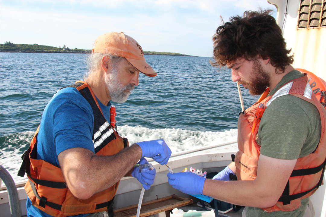 Cracking the Lobster’s Dietary Code
