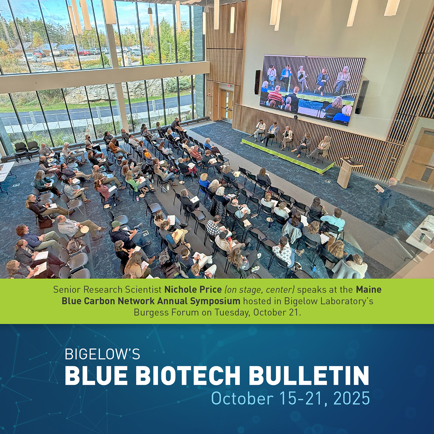 Blue Biotech Bulletin: October 15-21
