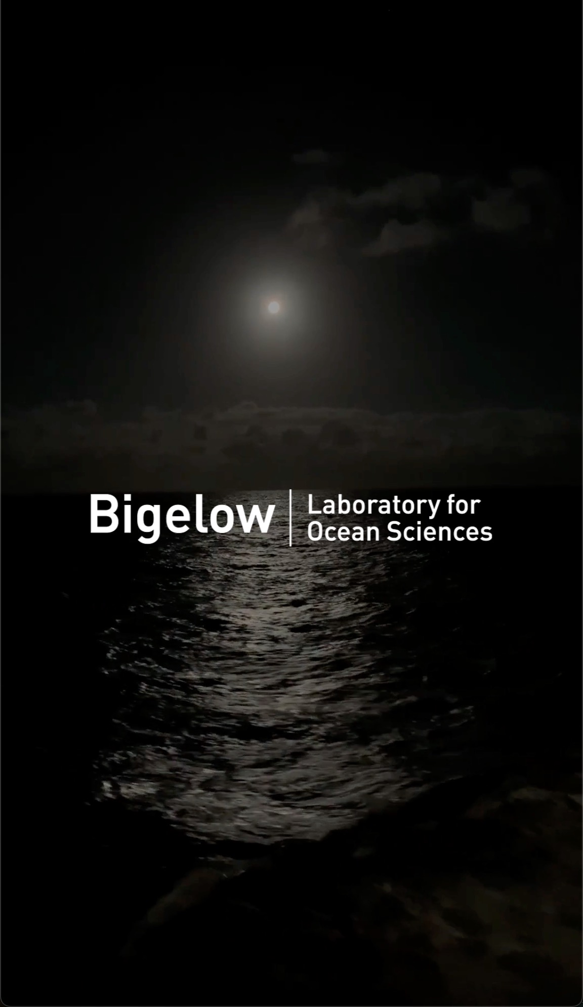 Microscopic Monsters