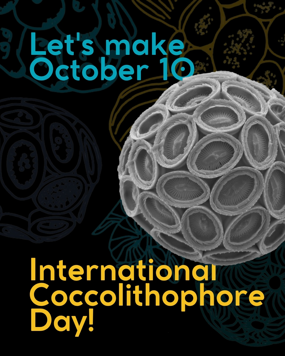 Happy International Coccolithophore Day!