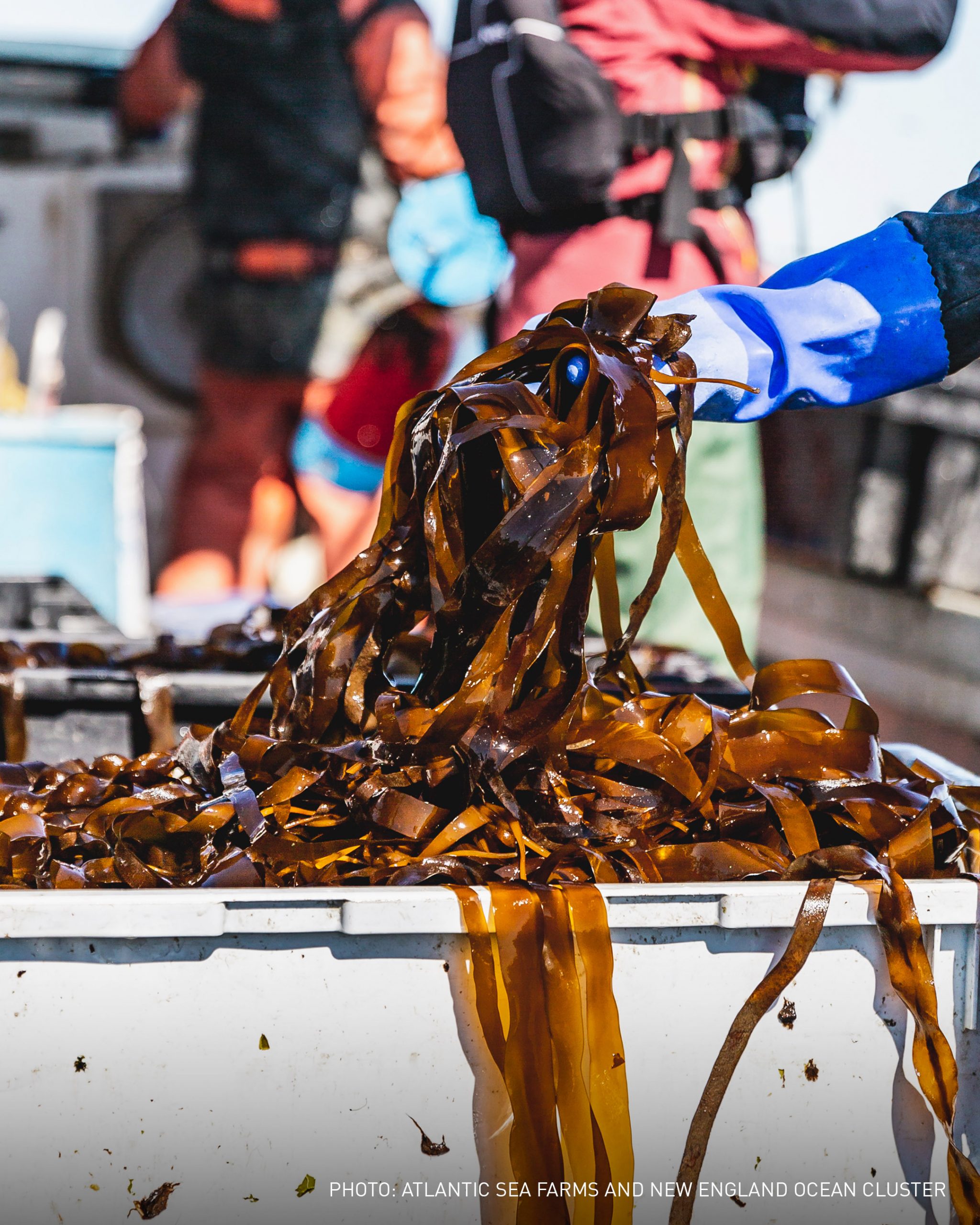 Converting Waves into Opportunity