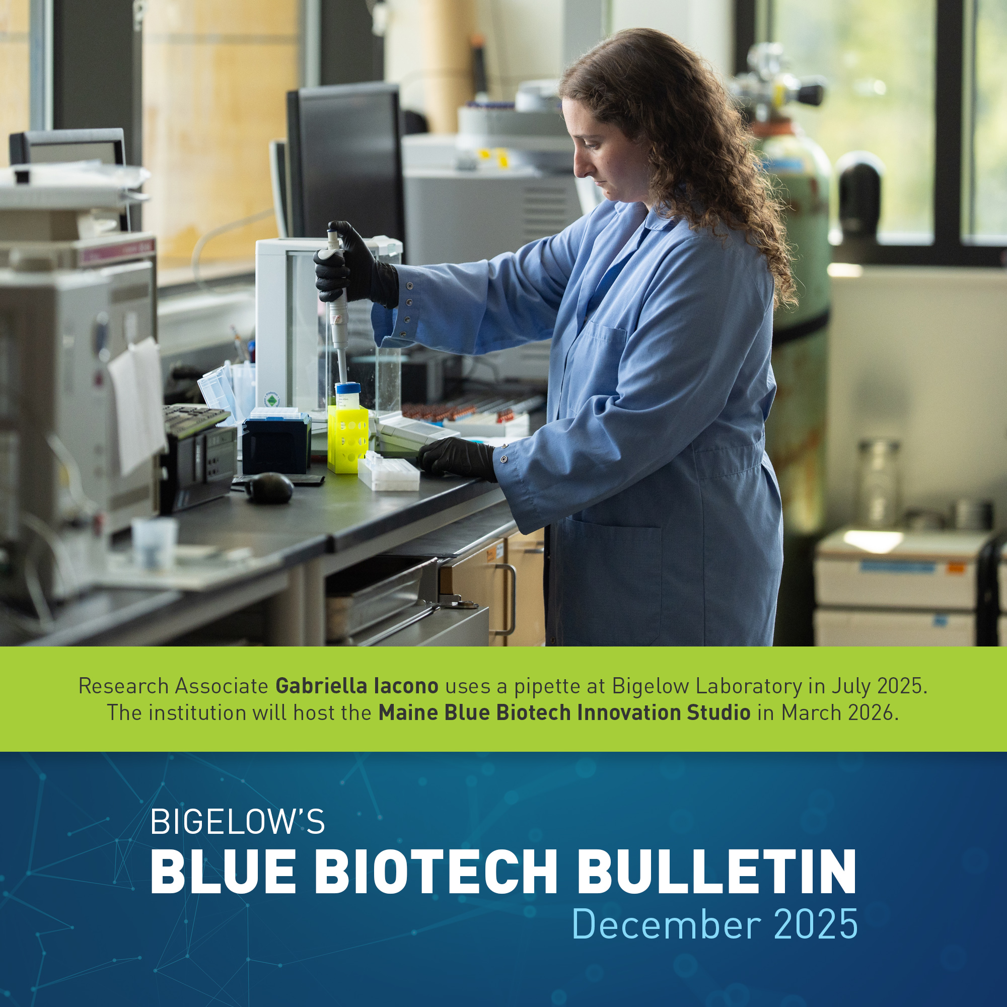Blue Biotech Bulletin: December 2025