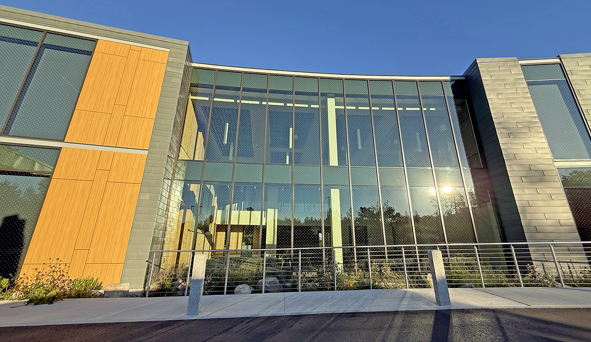 Innovation and Gumption