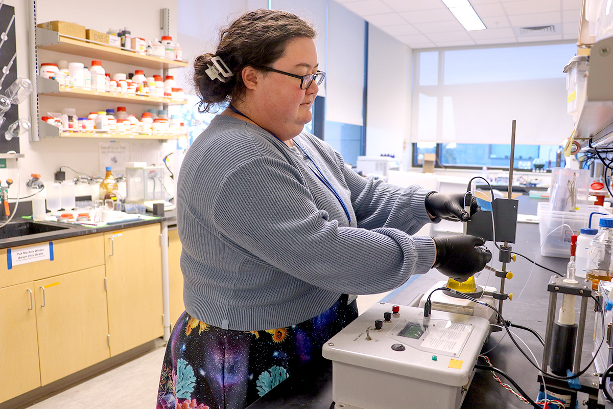 Transect Magazine Research Round-up: Discoveries