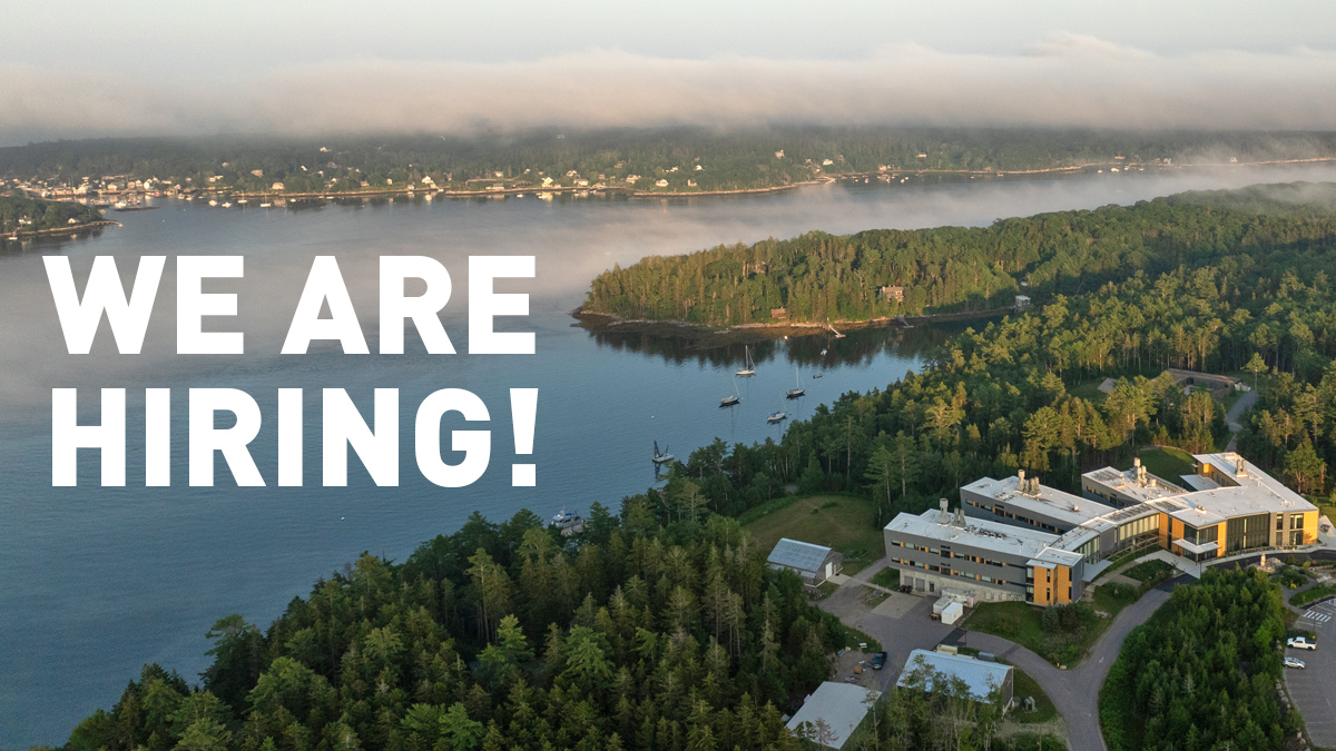 Rewarding Careers at Bigelow Laboratory