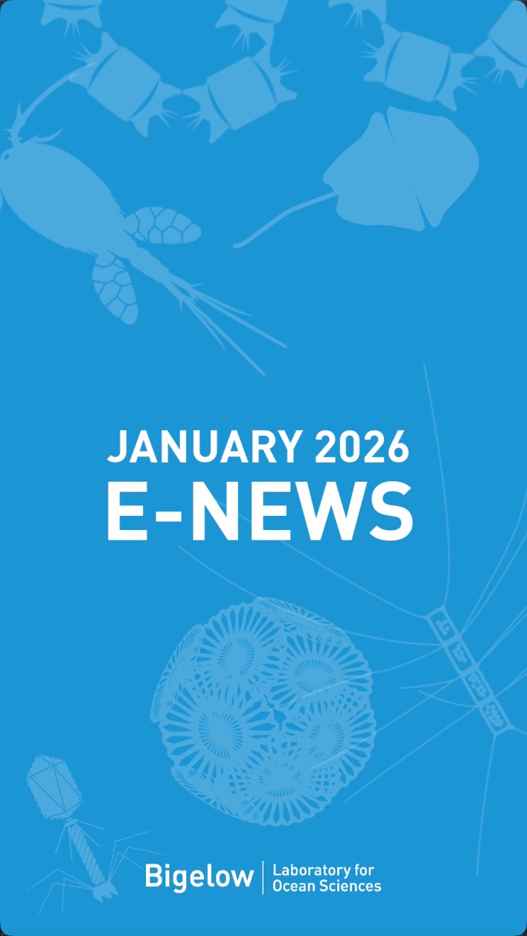 January 2026 E-news