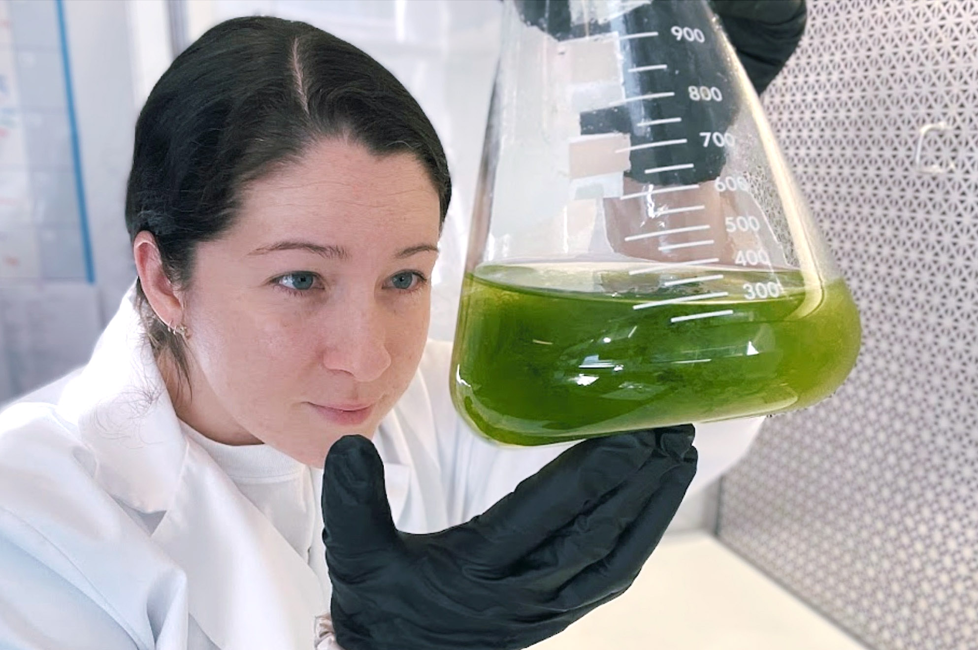 Transect Magazine Research Round-up: Local Initiatives