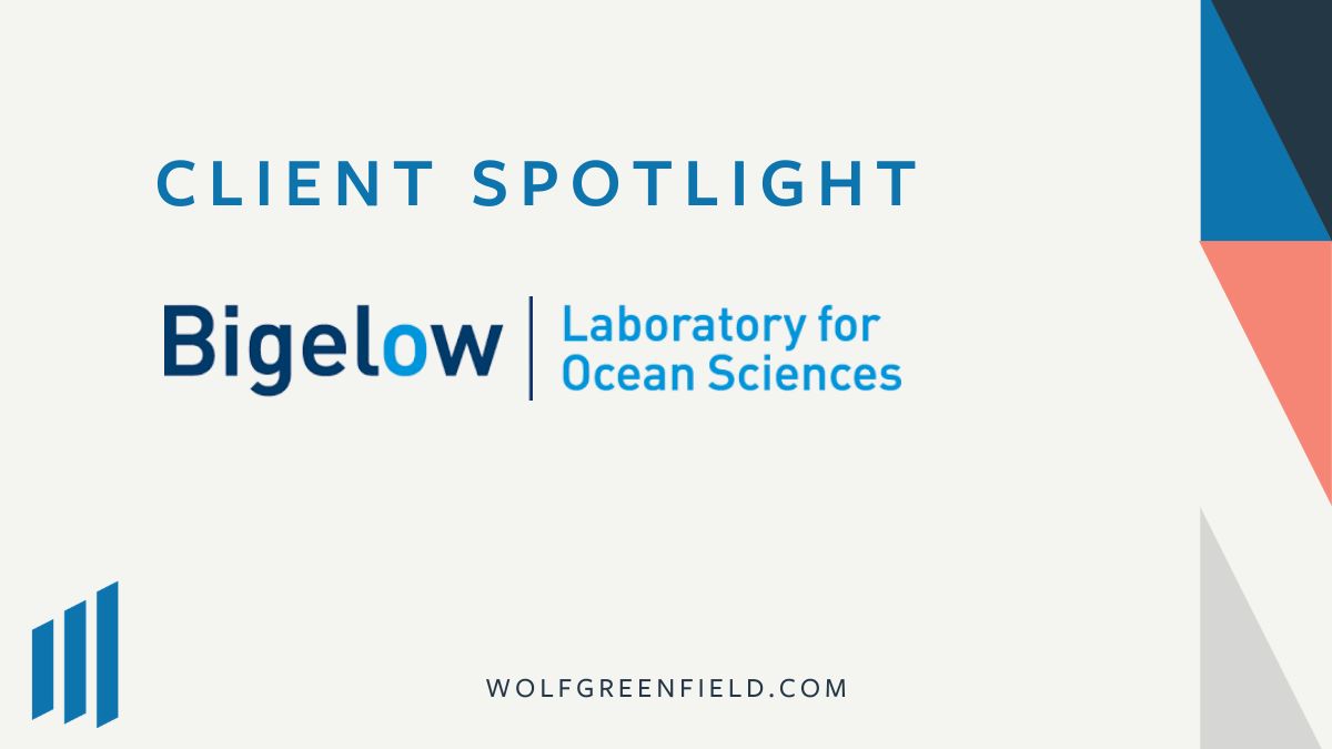 Wolf Greenfield Client Spotlight