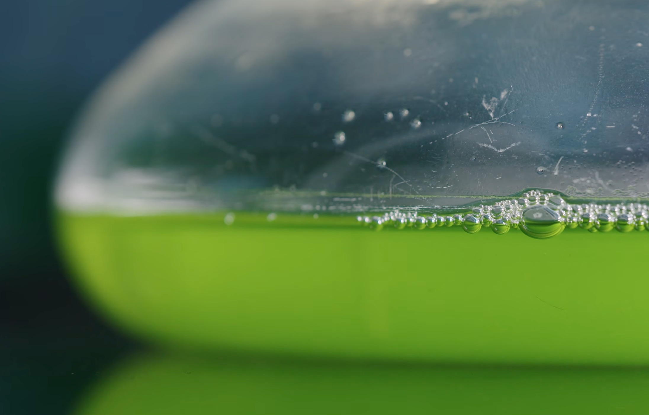 Colby College: Jan Plan Course Explores Algae’s Possibilities