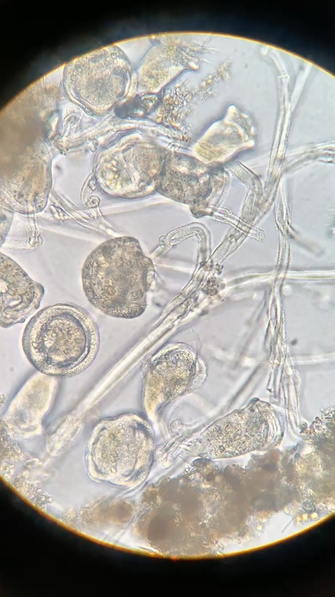 #MicroMonday: Tales from the Dock-side