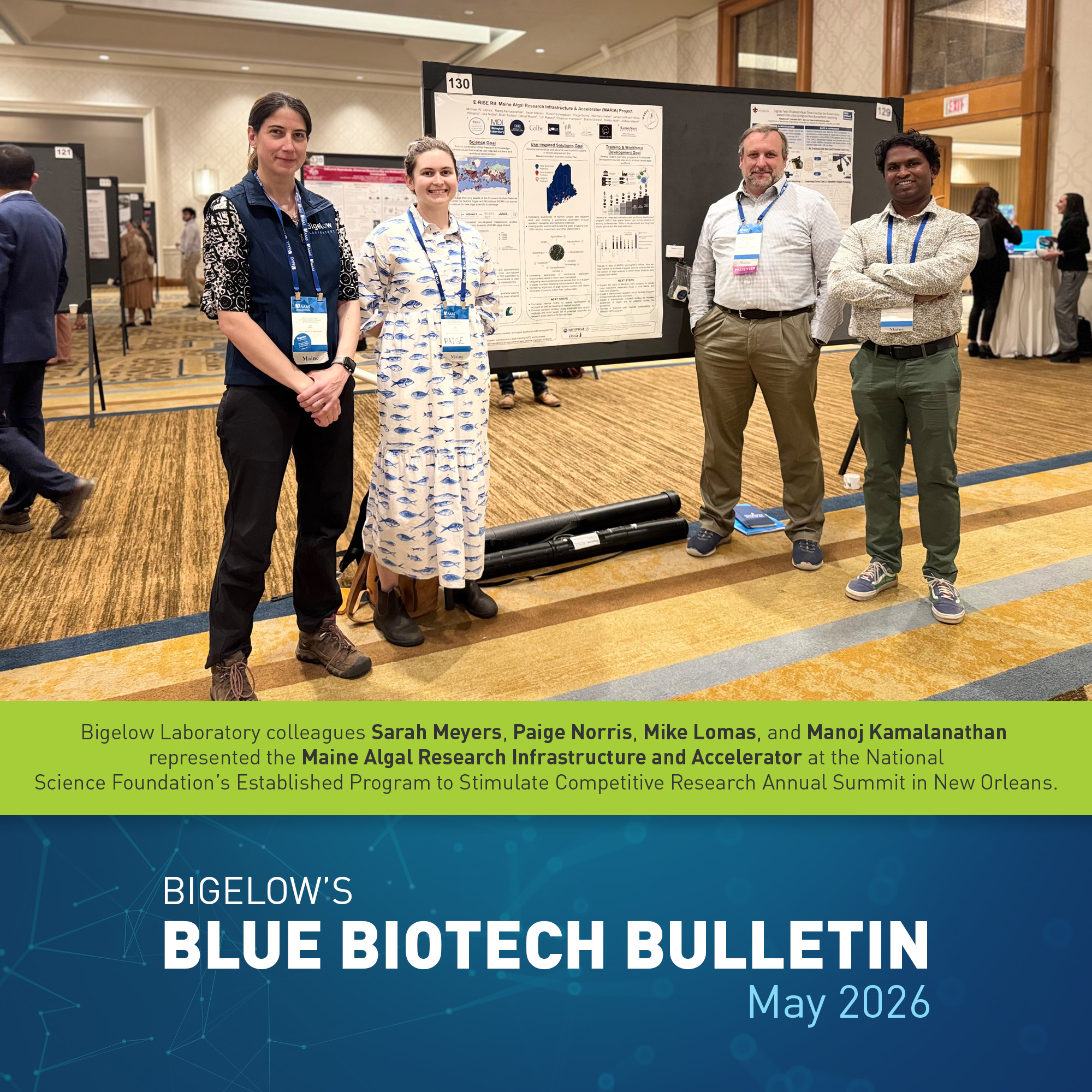 Blue Biotech Bulletin: May 2026