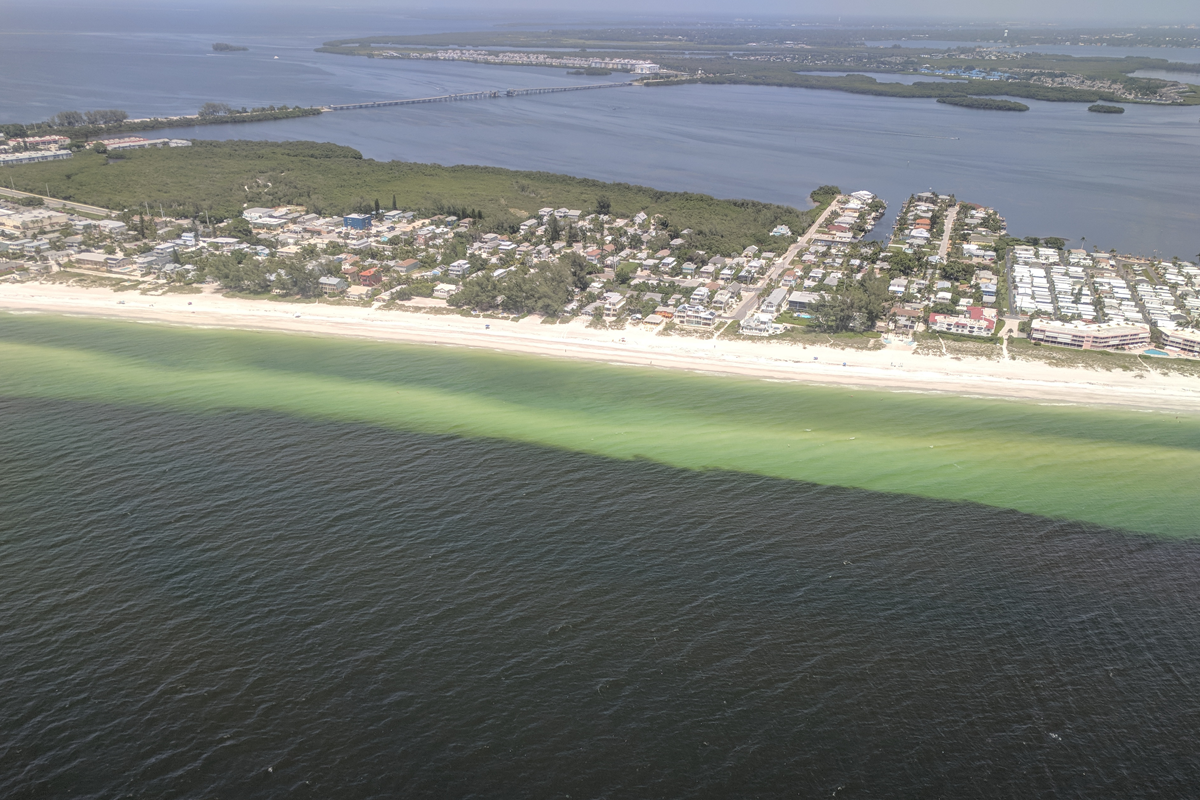 Where in the world are harmful algal blooms?
