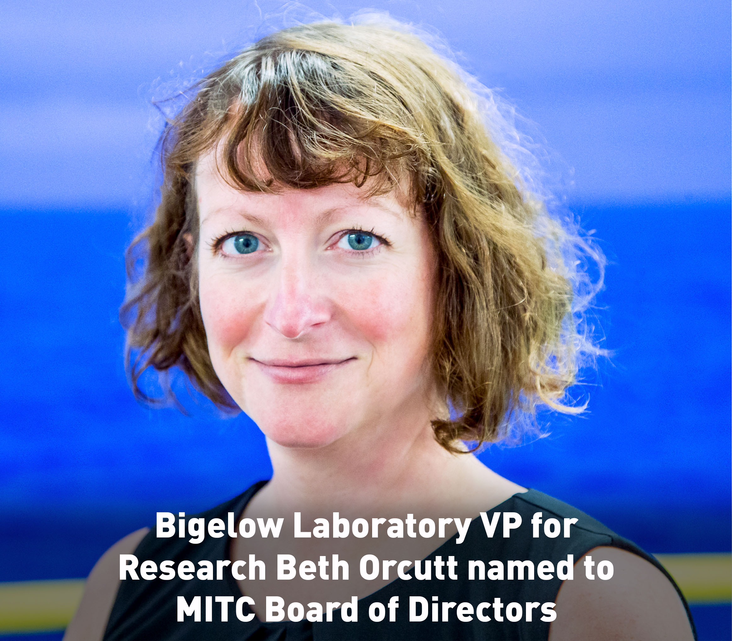 Beth Orcutt named to MITC Board of Directors